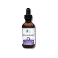 Cryptolepis – 2 fl oz by Ortho Molecular Products